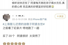 延边为什么选择专业追讨公司来处理您的债务纠纷？